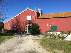 Familienhaus in Pegoes (Portugal), 2017, Foto: Vittoria Capresi