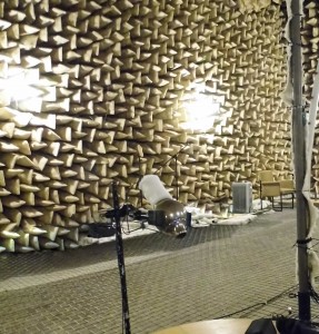 Aufnahme der akustischen Eigenschaften eines Kugelresonators im reflexionsarmen Raum der technischen Universität Dresden zur weitergehenden Veranschaulichung. Foto: Lars Engels