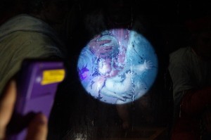 Untersuchung mittels UV- Handlampe: ungleichmäßiger Erhaltungszustand des Firnisüberzugs mit sich dunkel abzeichnenden späteren Retuschen